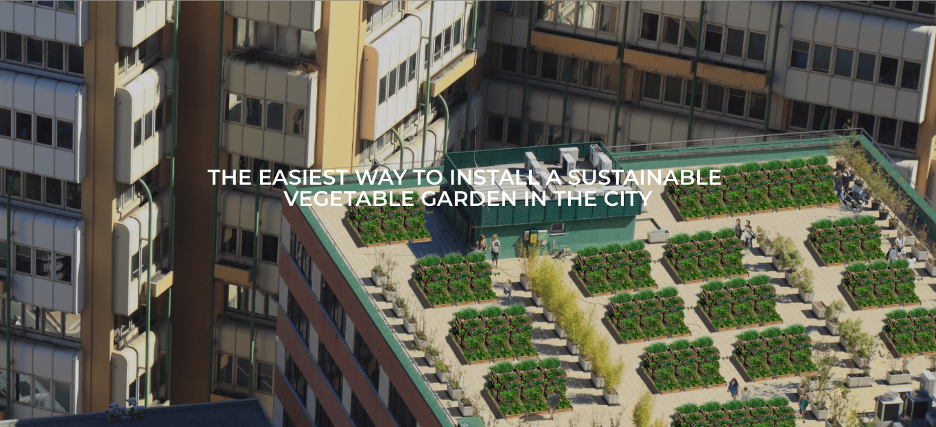 Agrove, IoT pour jardin urbain