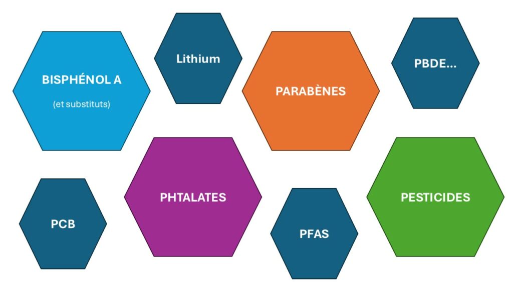 Principales familles de perturbateurs endocriniens et contaminants environnementaux : bisphénol A (et ses substituts), lithium, parabènes, PBDE, PCB, phtalates, PFAS et pesticides.